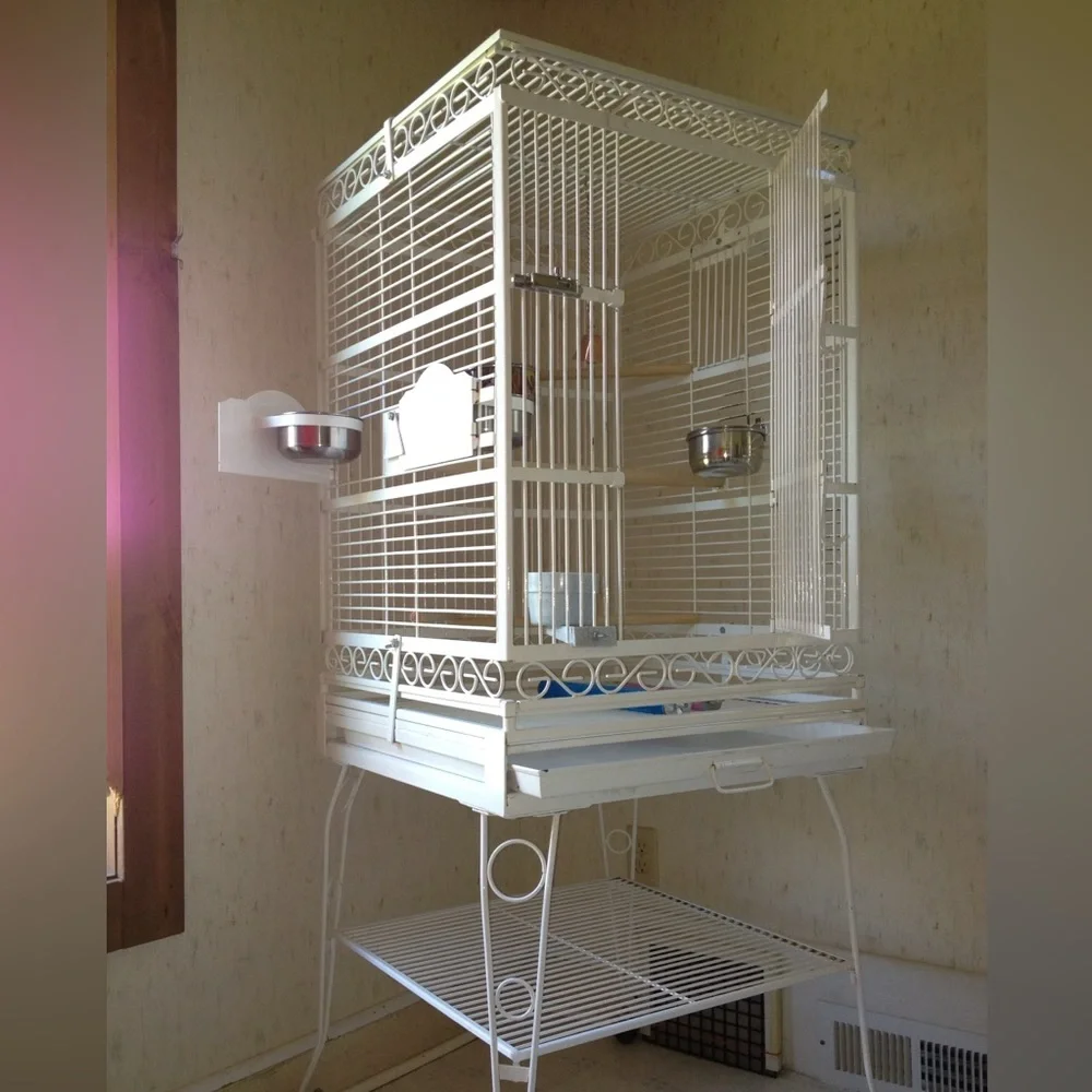 Bird cage